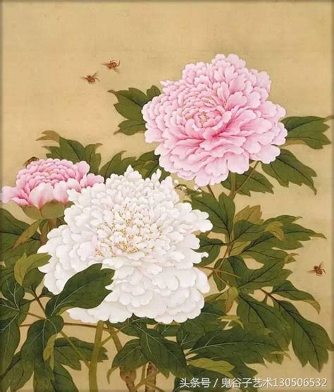 牡丹花畫作|国画牡丹十大经典作品 牡丹国画精品 最著名的牡丹花国。